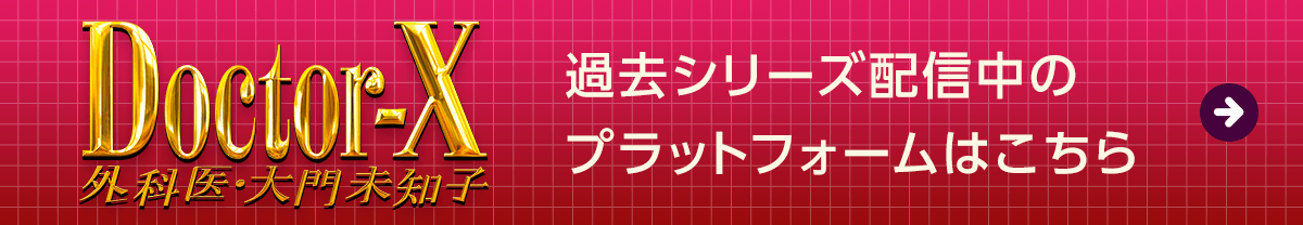 過去シリーズ配信中のプラットフォームはこちら