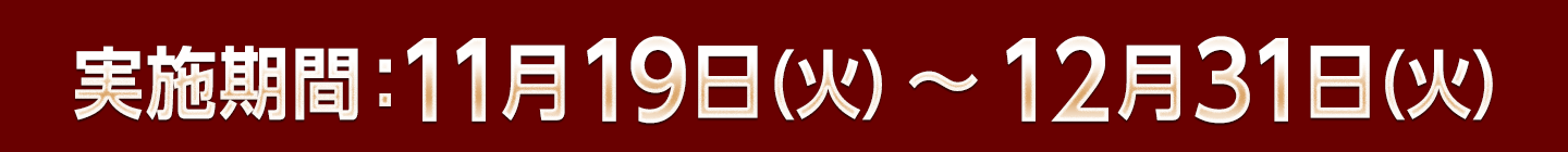 実施期間：11月19日（火）～12月31日（火）